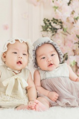 姐妹花