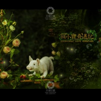 萌小宝奇遇记_成都儿童摄影_梦幻馆