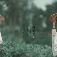 采茶纪_成都儿童摄影