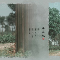 采茶纪_成都儿童摄影