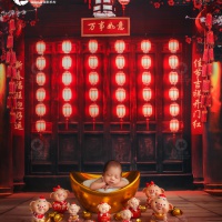 金宝宝_