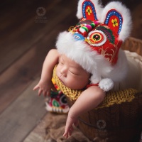 吉祥老虎头_