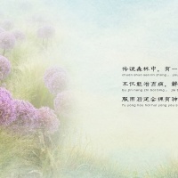 牧鹅姑娘-高端定制上集_成都宝宝照